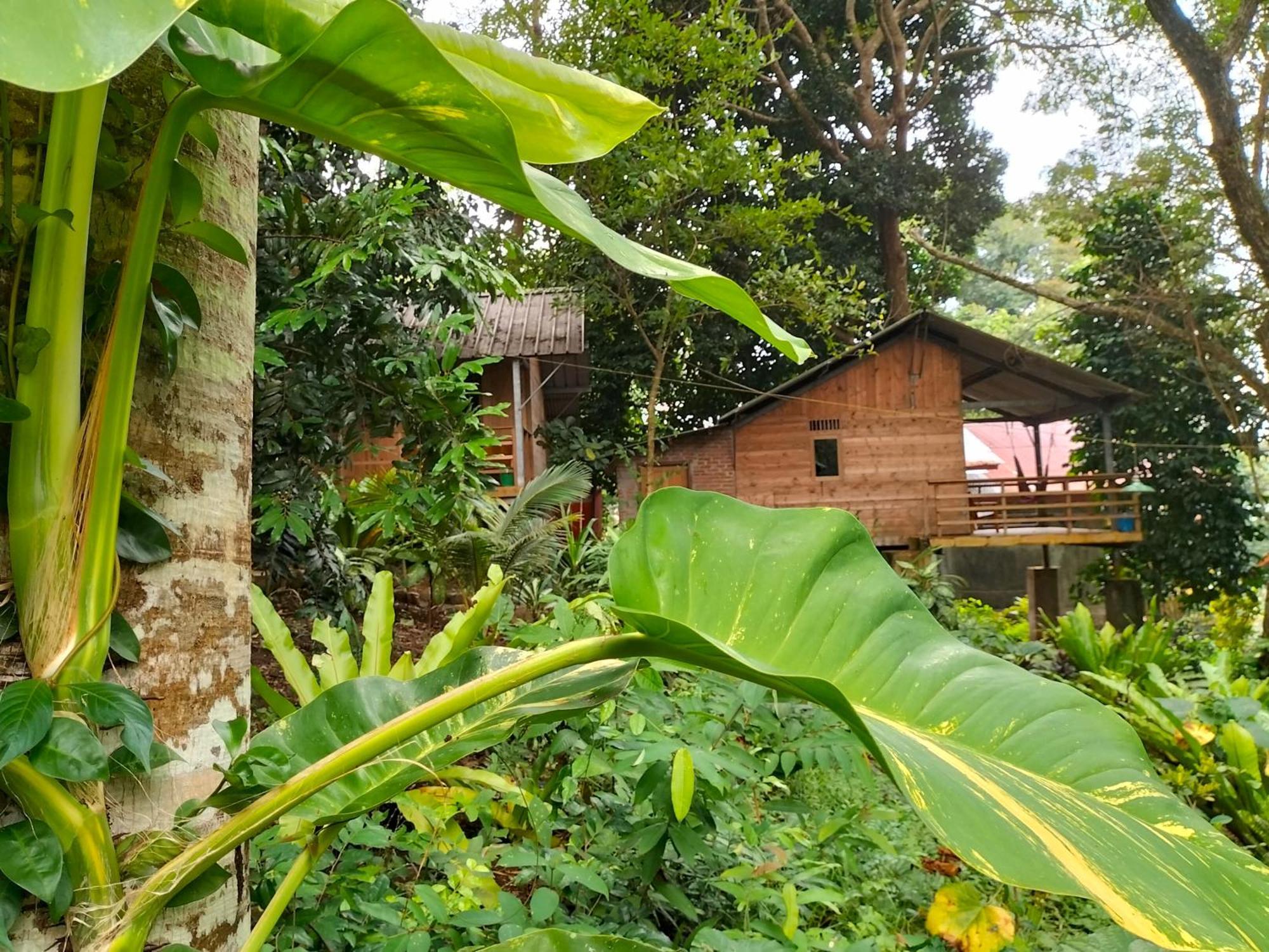 Santi Garden Bungalows Iboih Экстерьер фото